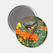 オレンジ色と黄色の花のマグネットに蝶 マグネット (正面/裏面)