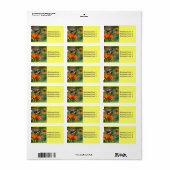 オレンジ色と黄色の花ラベルに蝶 ラベル (フルシート)