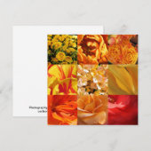 オレンジ色と黄色の花 (正面/裏面)