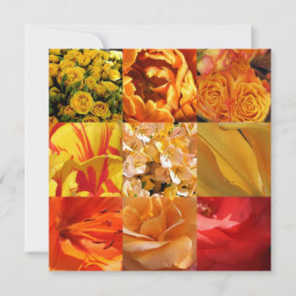 オレンジ色と黄色の花