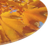 オレンジ色に輝く紅葉のガラス製まな板 カッティングボード (角)