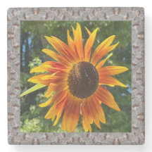オレンジ色のひまわり付き大理石フォトコースター2