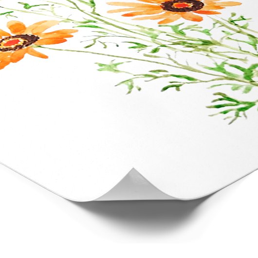 オレンジ色のアフリカの野生のデイジーの手の色彩の鮮やか水の色 ポスター (角)