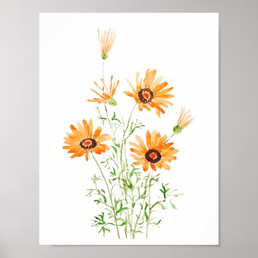 オレンジ色のアフリカの野生のデイジーの手の色彩の鮮やか水の色 ポスター (正面)
