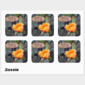 オレンジ色のイナシのサボテンの花写真 スクエアシール (シート)