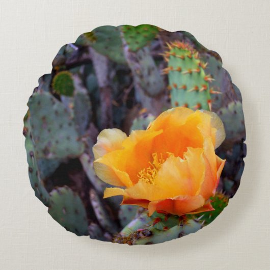 オレンジ色のイナシのサボテンの花写真 ラウンドクッション (正面)