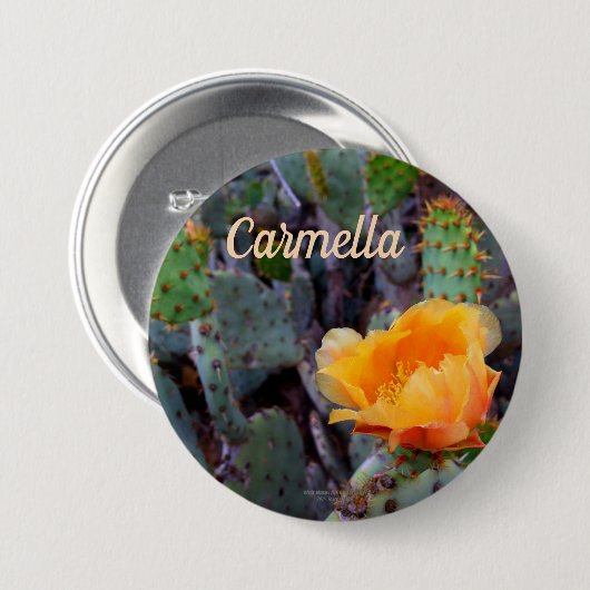 オレンジ色のイナシのサボテンの花写真 缶バッジ (正面&裏面)