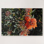 オレンジ色のオーストラリアのバンクシアの花と種鞘。 ジグソーパズル (横)