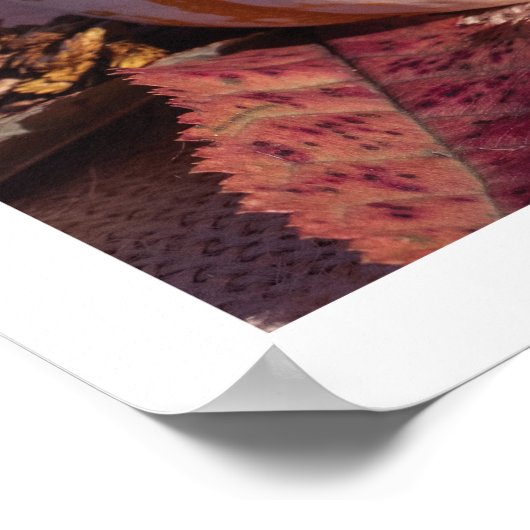 オレンジ色のカボチャのコージースタック写真秋ウォールアート ポスター (角)