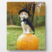 オレンジ色のカボチャの上のハロウィーン猫 フォトプラーク (正面)