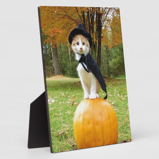 オレンジ色のカボチャの上のハロウィーン猫 フォトプラーク (側面)