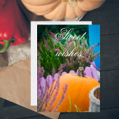 オレンジ色のカボチャを使用したガーデンはまだ生活 カード