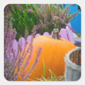 オレンジ色のカボチャを使用したガーデンはまだ生活 スクエアシール (正面)