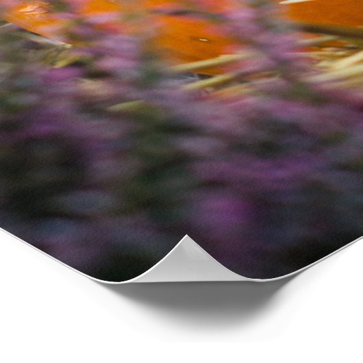 オレンジ色のカボチャを使用したガーデンはまだ生活 ポスター (角)