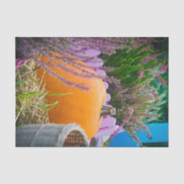 オレンジ色のカボチャを使用したガーデンはまだ生活 薄葉紙