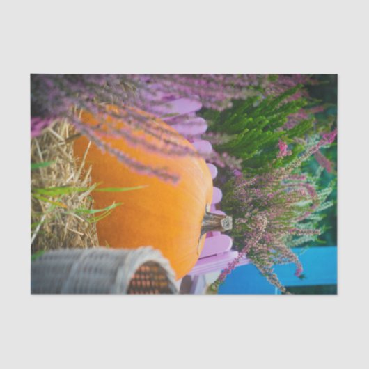 オレンジ色のカボチャを使用したガーデンはまだ生活 薄葉紙 (正面)