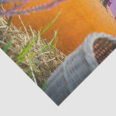 オレンジ色のカボチャを使用したガーデンはまだ生活 薄葉紙 (詳細)