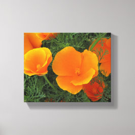 オレンジ色のカリフォルニアの花 キャンバスプリント