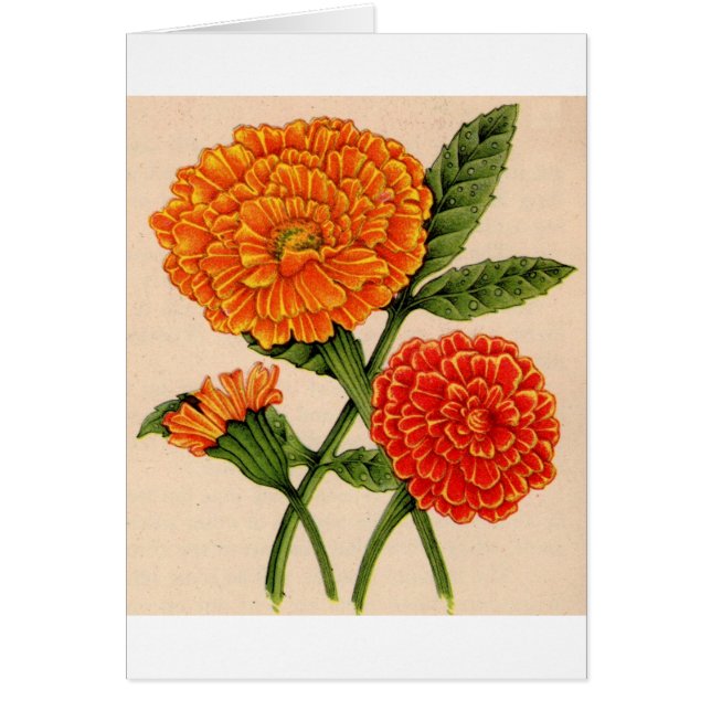 オレンジ色のカレンダー (正面)