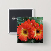 オレンジ色のガーベラデイジー（星） 缶バッジ (正面&裏面)