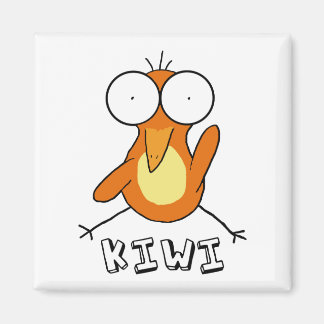 オレンジ色のキウイ磁石 マグネット