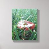 オレンジ色のキノコ（上に雨が降る） キャンバスプリント (正面)