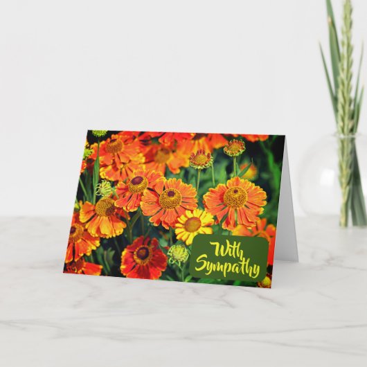 オレンジ色のクマザメの花と悔やみや弔慰 カード (正面)