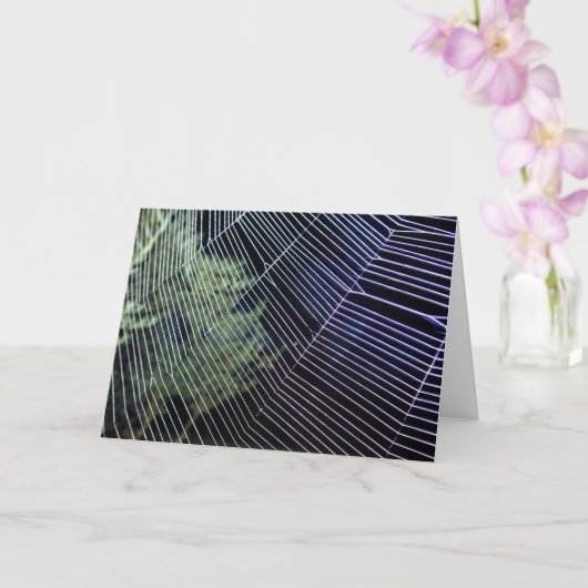 オレンジ色のクモの巣 カード (蘭)