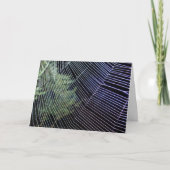 オレンジ色のクモの巣 カード (正面)