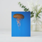 オレンジ色のクラゲ ポストカード (スタンド正面)