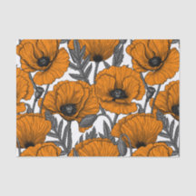 オレンジ色のケシが白