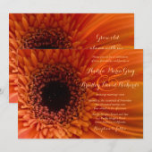 オレンジ色のゲルベラ ダイジー マクロ ウェディング インビテーション (正面/裏面)