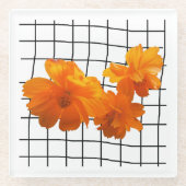 オレンジ色のコスモスの花と黒のグリッド（白） ガラスコースター (正面)