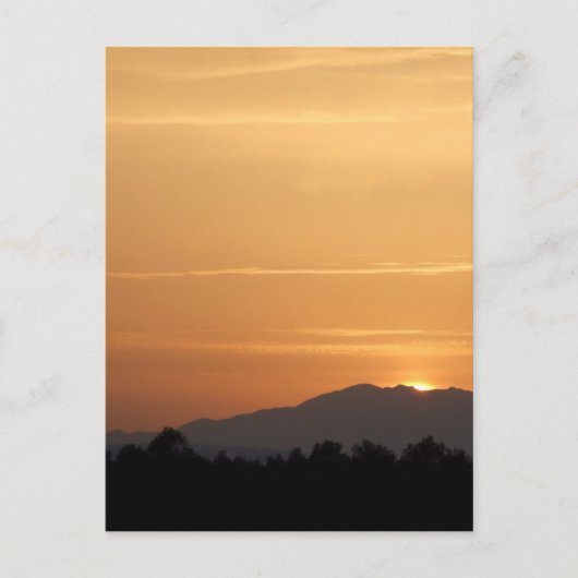 オレンジ色のサンセットポストカード ポストカード (正面)