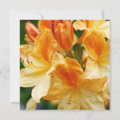 オレンジ色のシャクナゲの花80歳の誕生日パーティー 招待状 (裏面)