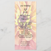 オレンジ色のジニア プログラム (正面)