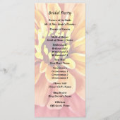 オレンジ色のゼニア プログラム (裏面)