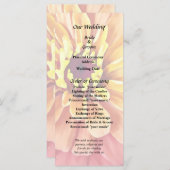 オレンジ色のゼニア プログラム (正面/裏面)