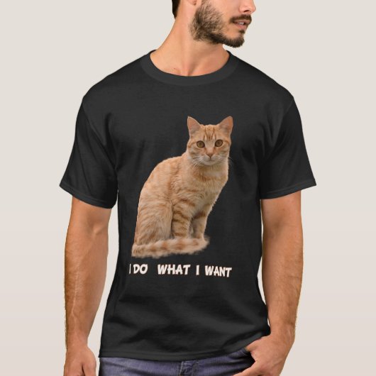 オレンジ色のタビー猫が欲しい Tシャツ (正面)