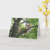 オレンジ色のタビー猫の木 カード (黄色い花)