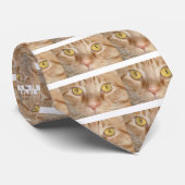 オレンジ色のタブビーキャットアイズ ネクタイ (ロール)