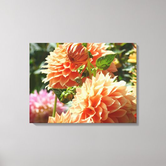 オレンジ色のダリアの花 キャンバス 写真プリント (正面)