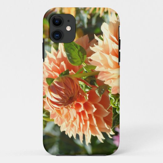 オレンジ色のダリアの花 iPhone 5 カバー (裏面)