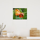 オレンジ色のチューリップ彫刻ポスター ポスター (キッチン)