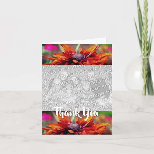 オレンジ色のデイジーの花の感謝写真カード サンキューカード (正面)