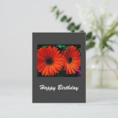 オレンジ色のデイジーの花の誕生日カード ポストカード (スタンド正面)