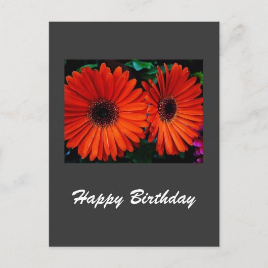 オレンジ色のデイジーの花の誕生日カード ポストカード (正面)