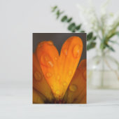 オレンジ色のデイジー花びらハート水滴写真 ポストカード (スタンド正面)