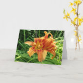 オレンジ色のデイリーの花(横) カード (黄色い花)