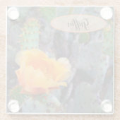 オレンジ色のトゲのナシのサボテンの花の写真 ガラスコースター (裏面)